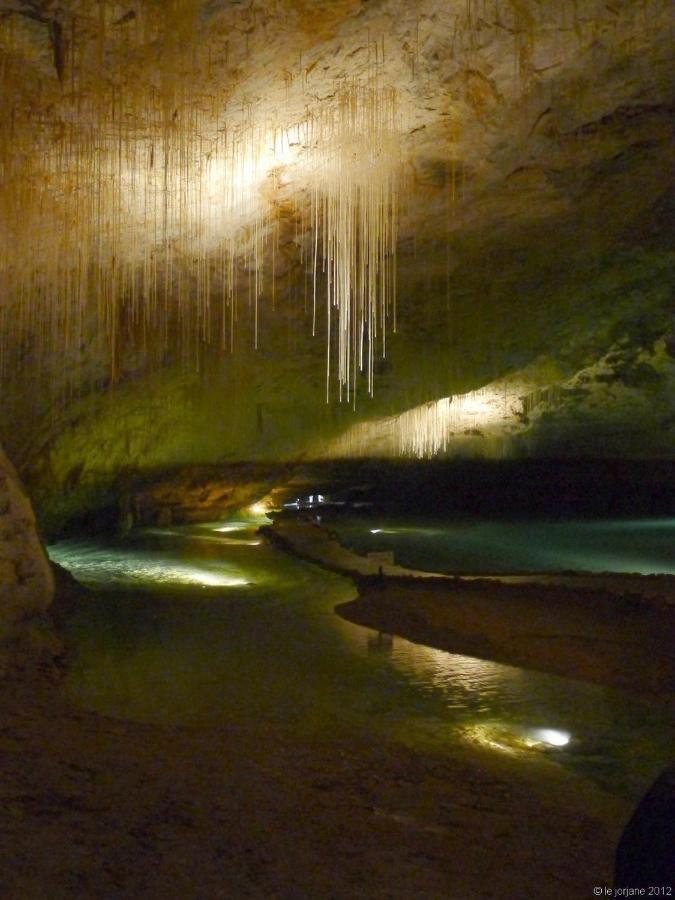 Logez Au Coeur Du Parc Du Vercors Saint-Laurent-en-Royans Exterior foto